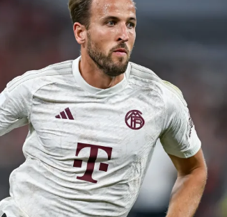 郑洁承认 郑洁承认